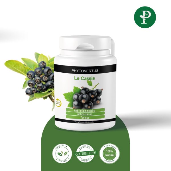 Cassis cassis tunisie, prix Cassis tunisie, Cassis en Tunisie, complement alimentaire Cassis en tunisie, Cassis, complement alimentaire Cassis en tunisie,Phytoplantis