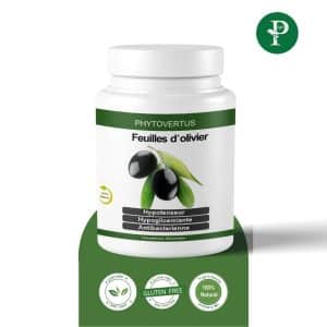 Feuille d'olivier,olivier, olivier tunisie, prix olivier tunisie, pour olivier, complement alimentaire olivier en tunisie, olivier, olivier tunisie, prix olivier tunisie, pour olivier, complement alimentaire olivier en tunisie,Phytoplantis